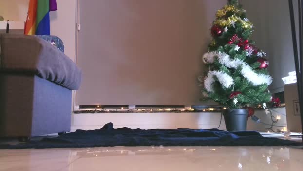 viksons 05-01-2025 video jerking