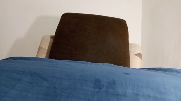 alotofcream 06-01-2025 video sexykitty