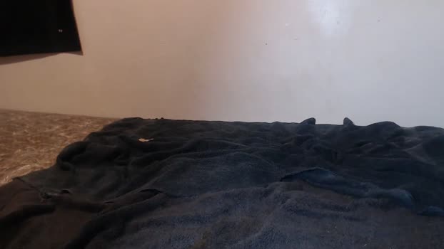 browardboy69 11-01-2025 video naked