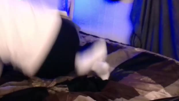 daviwave 11-01-2025 video big