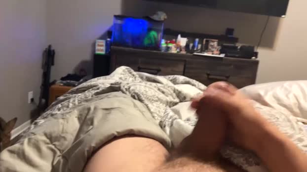 bradcb295121 15-01-2025 video amateur