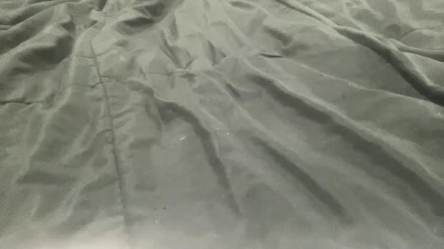 everydayguy22 15-01-2025 video bigtoys