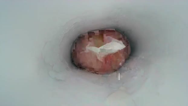 jeffrodgerschaturbat 15-01-2025 video fuckass