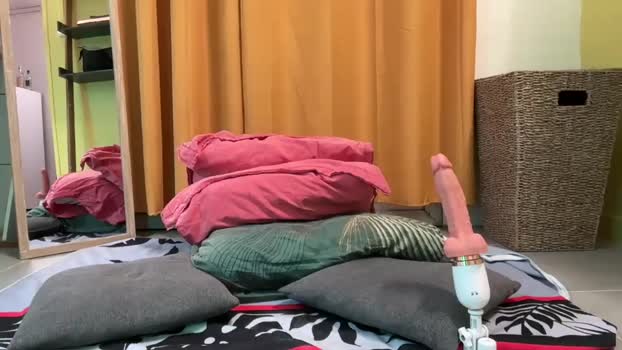 wolfdeep 16-01-2025 video Download