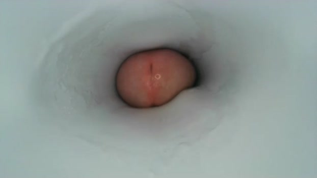 jeffrodgerschaturbat 17-01-2025 video strip