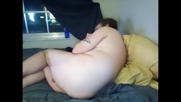 pitstick 17-01-2025 video sweet