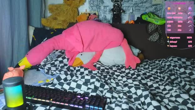 ololkd 18-01-2025 video kiss