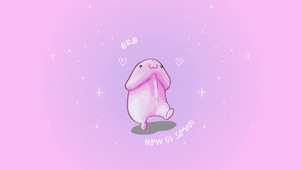 boicute 19-01-2025 video bigload