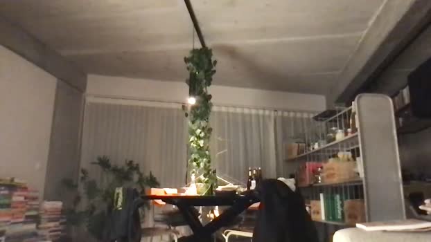 faviken 19-01-2025 video orgasm