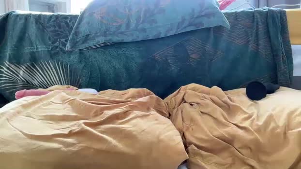 wolfdeep 20-01-2025 video ass