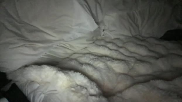 one2343 22-01-2025 video bigass