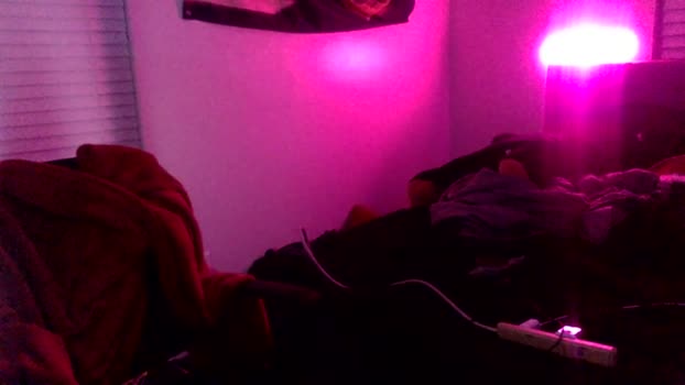 rjbwc101 22-01-2025 video play