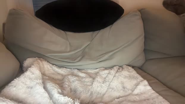 ryguy79 21-01-2025 video sexyfeet