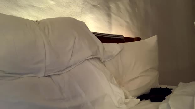 dustborn 23-01-2025 video bigtoys