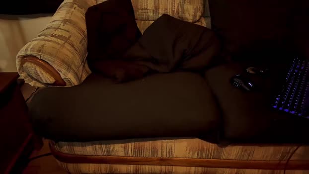 islander_ny 22-01-2025 video sexykitty