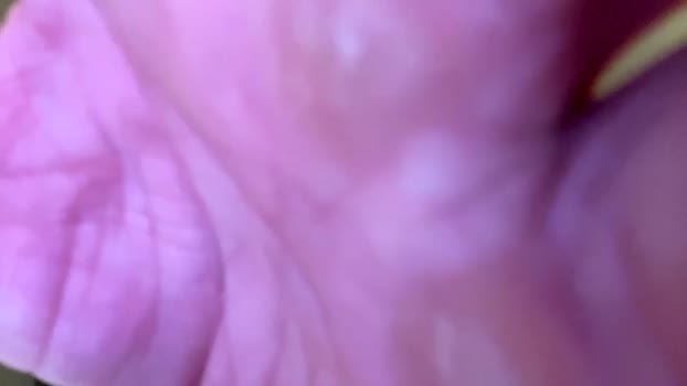 xxx567933356 24-01-2025 video Naked