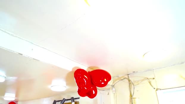 boschcz 25-01-2025 video cute