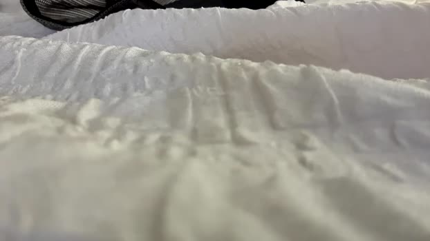 kevin14clark 24-01-2025 video bigass