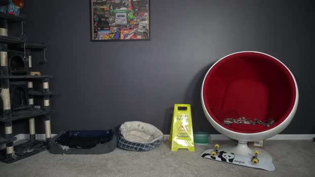 sydaffect 25-01-2025 video handsome