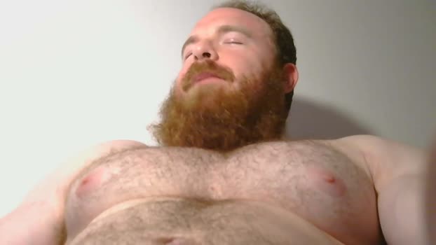 pec_inspector 26-01-2025 video nasty