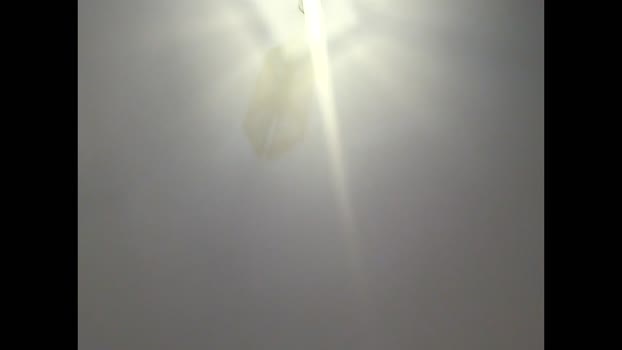 buiderlad25 29-01-2025 video gay