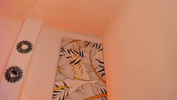 salomon_jax 28-01-2025 video Video