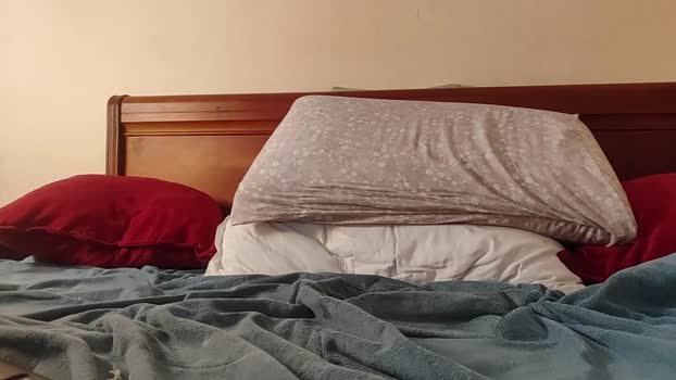 thadonn994 31-01-2025 video naughty