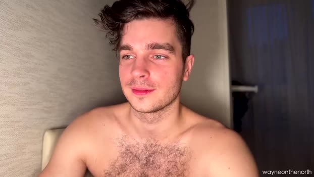 waynenorth 31-01-2025 video analtoy