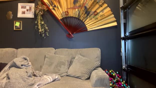 jt7568 01-02-2025 video ass