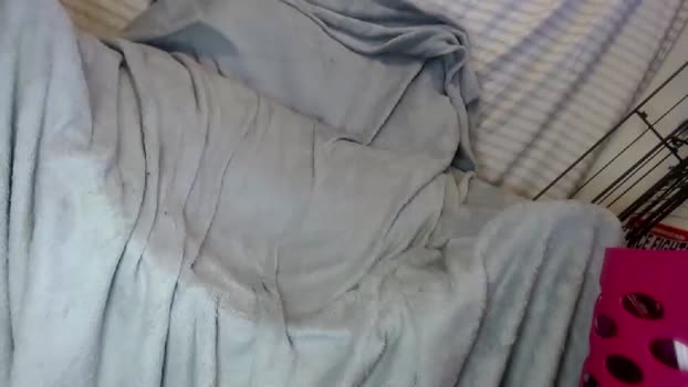 ogdigbick 01-02-2025 video hardcock