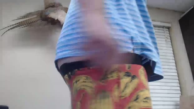 talltexxxan 04-02-2025 video kissing