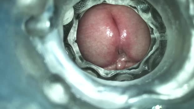 xoxowtf 03-02-2025 video suckcock