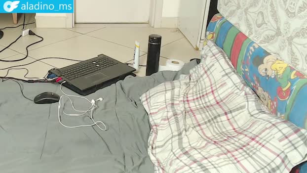 aladino_ms 05-02-2025 video lick