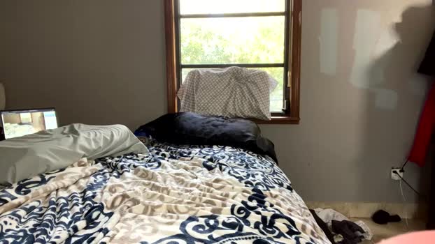 bigdickenergyo3 05-02-2025 video Show