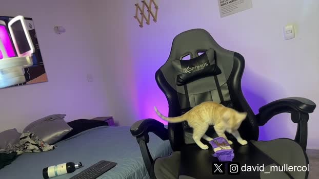 david_muller_ 07-02-2025 video strip