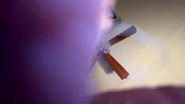 asachat2024 09-02-2025 video natural