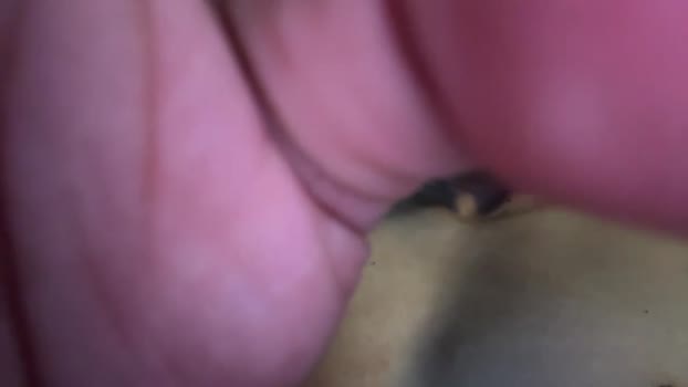 zeroboy00 11-02-2025 video bj-dildo