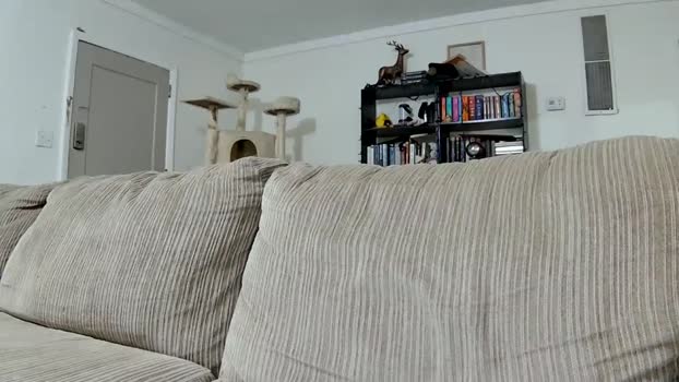 blakeandskylar 12-02-2025 video suckshow