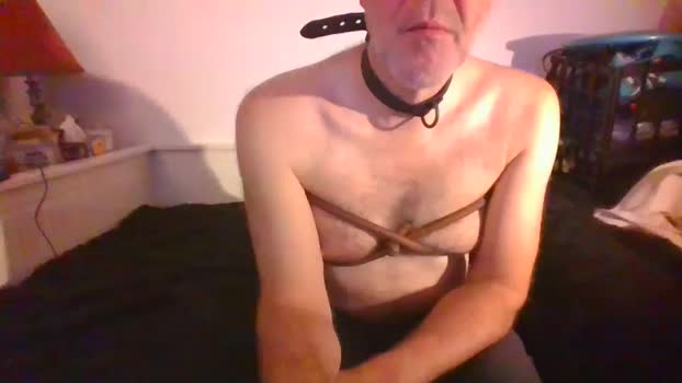 malebdsmslut 13-02-2025 video toy