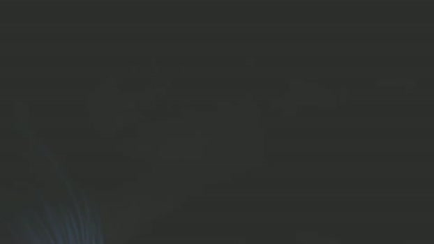 ricestir283 13-02-2025 video sexybody