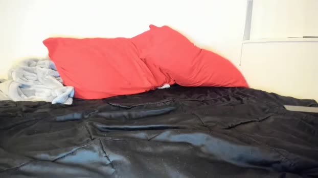 zaylanez 13-02-2025 video toys