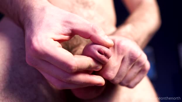 waynenorth 14-02-2025 video sweet