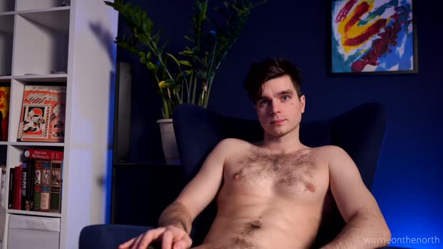 waynenorth 14-02-2025 video bigload