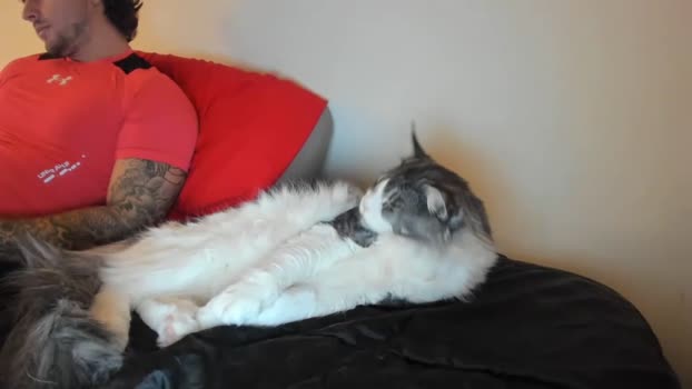 zaylanez 14-02-2025 video blowjob