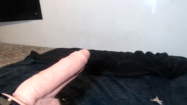 browardboy69 15-02-2025 video naughty