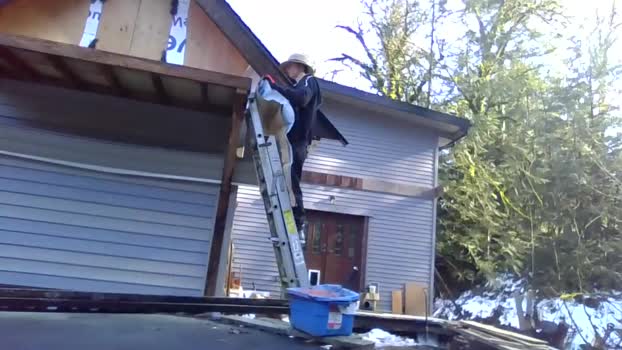 info_chat 17-02-2025 video lush