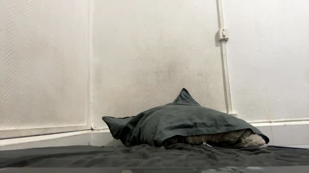 splashyyyz 19-02-2025 video Topless