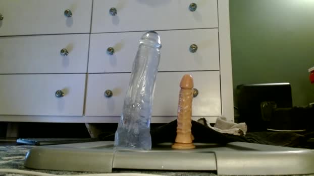 bifitboy 19-02-2025 video nasty