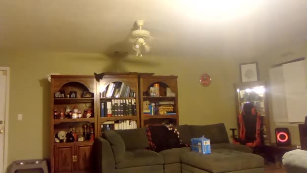 silverfox706 21-02-2025 video kiss