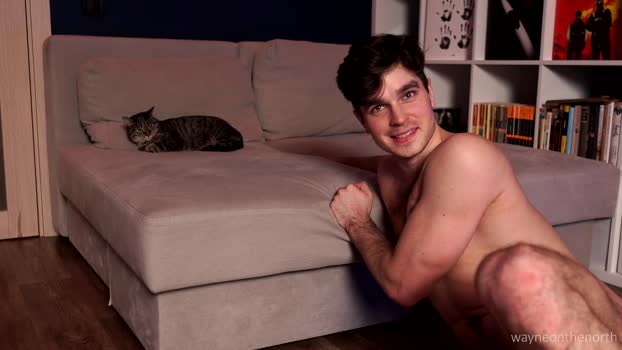 waynenorth 20-02-2025 video kissing